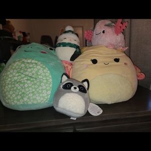 Squishmallow bundle of 4 plus one plushie